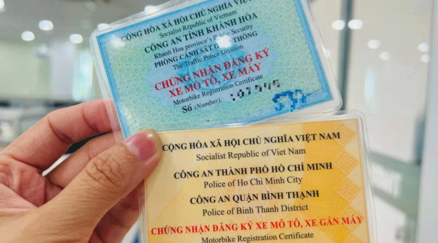 Hình ảnh minh họa cà vẹt xe (Nguồn: Internet)