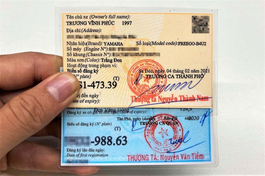 Màu sắc chuẩn theo từng loại cà vẹt